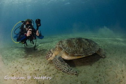 A diver taking a photo of a turtle by Graham Watters 